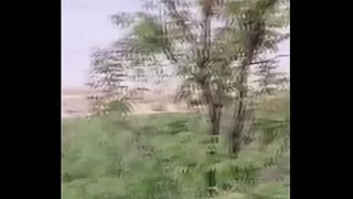 Jungle Trek Turns Wild As This Asian Teen Gets Pounded On The Path
