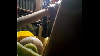 Đất Nước Của Những Cơn Mưa Nhiệt đới Và Thân Hình Nóng Bỏng