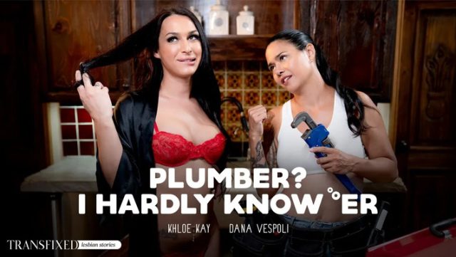 Plumber? I Barely Know ‘er – Let’s Get Our Pipes Fixed