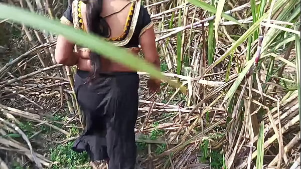 Desi Step Aunty’s Wild Outdoor Romp In The Sugarcane Field