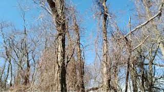 Trailside Surprise: A Risky Encounter Unleashed