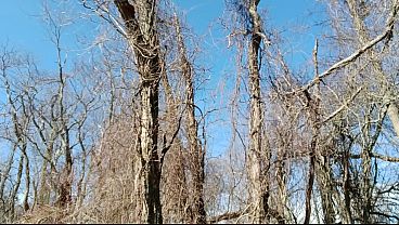 Trailside Surprise: A Risky Encounter Unleashed