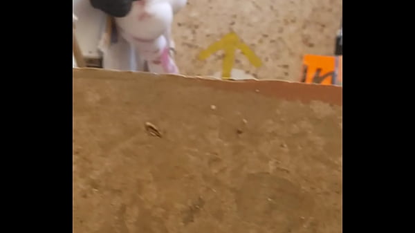 Mira Cómo Se Agacha Esta Puta Con El Culotte Bien Abierto, Mostrándote Todo