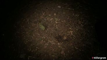 Killergram – That Classy Slut Takes Her Filthy Ass On A Dogging Run And Greedily Sucks And Fucks Every Strange Cock In A Raunchy Outdoor Gangbang
